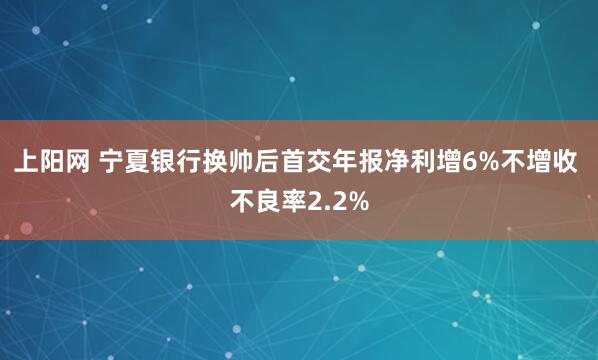 上阳网 宁夏银行换帅后首交年报净利增6%不增收 不良率2.2%