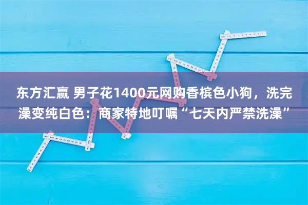 东方汇赢 男子花1400元网购香槟色小狗，洗完澡变纯白色：商家特地叮嘱“七天内严禁洗澡”